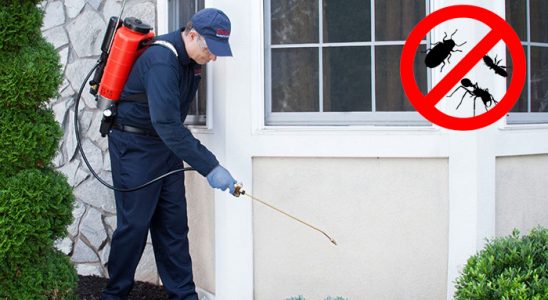 Doğubayazıt Karınca İlaçlama böcek ilaçlama ve haşere kontrolü — ilaclama-tr.com